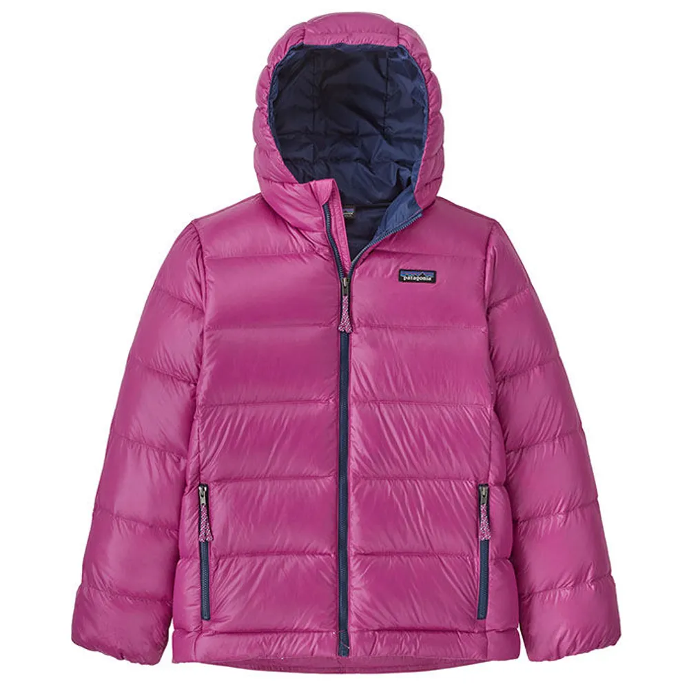 Patagonia down sweater hoody canada online