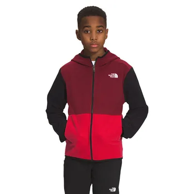 North face brayden jacket store