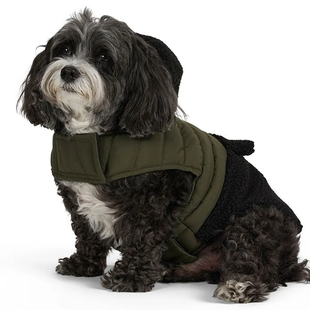 Sherpa Dog Jacket
 Pajar Loki Sherpa Dog Jacket
