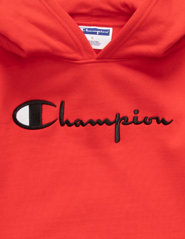 Champion sweater tillys chinos hot sale