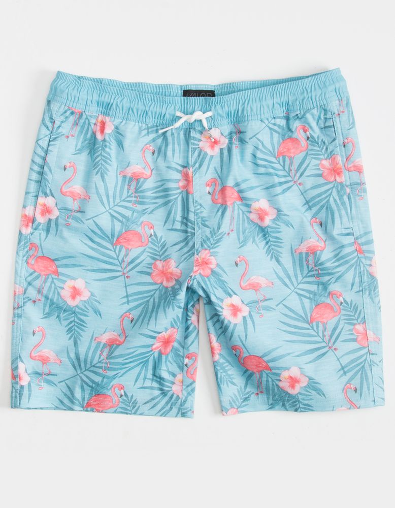 Flamingo hotsell shorts boys