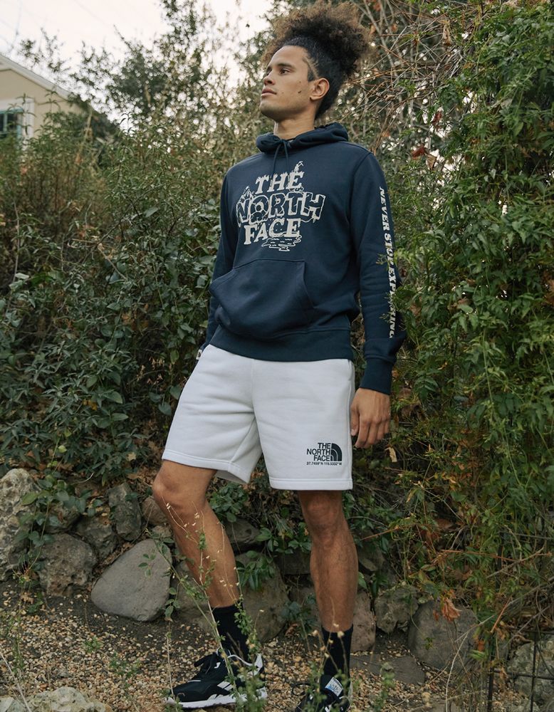 North face fleece shorts cheap