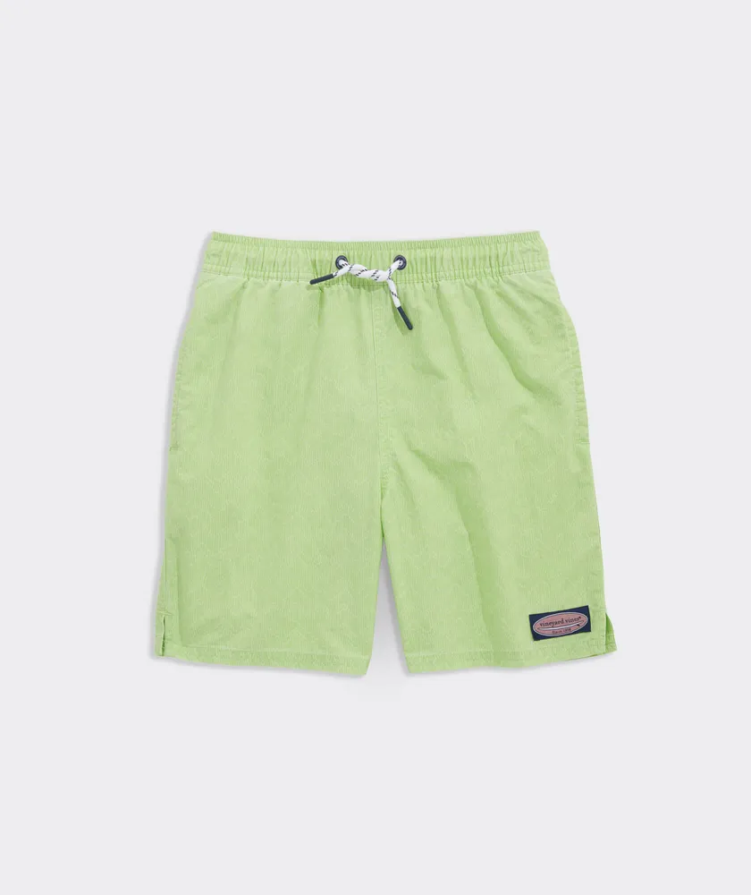 Vineyard swim 2025 trunks