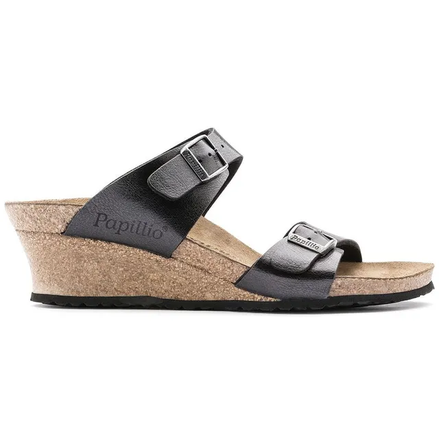 Papillio dorothy 2025