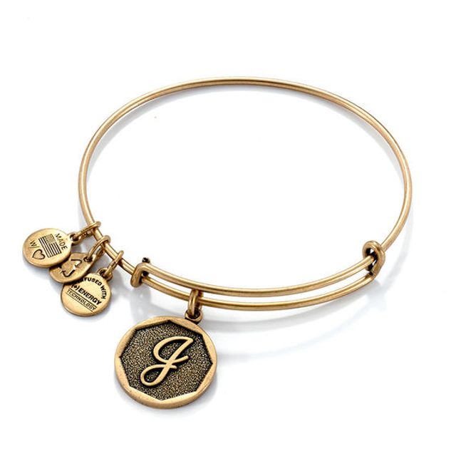 Alex and ani initial deals two tone charm bangle