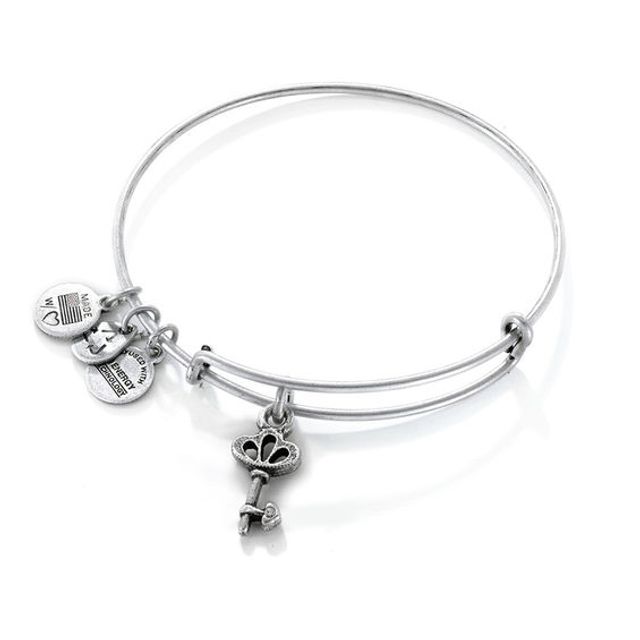 Alex and ani deals skeleton key